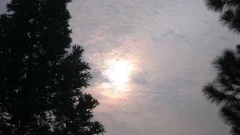 Zeitraffer-Der-Wolkenverhangenen-Sonne-Mit-Bäumen-Im-Vordergrund