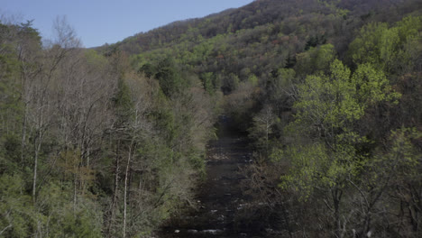 Drone-Flying-Through-Valley-in-Smokey-Mountains