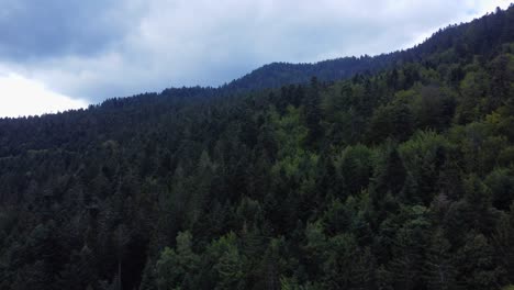 Luftdrohnenansicht,-Die-über-Dunklem-Wald-Frankreich-4k-Aufsteigt