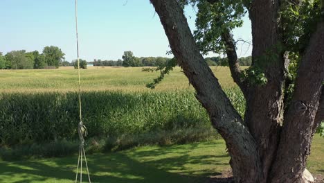 4K-Tire-Swing-and-Farm