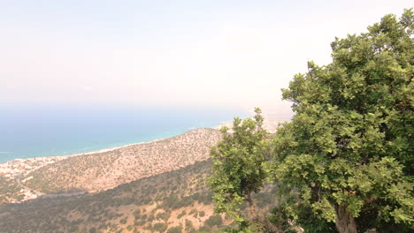 árbol-Reveló-La-Isla-Mediterránea-De-Creta-En-Una-Mañana-Brumosa-En-La-Costa-Sur-De-Grecia