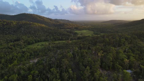 Vista-Aérea-De-árboles-Densos-En-El-Bosque-En-El-Parque-Nacional-De-Conway-Cerca-De-Cedar-Creek-En-Qld,-Australia
