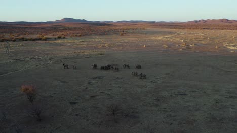 Grupo-De-Elefantes-En-El-Parque-Nacional-De-Etosha,-Namibia