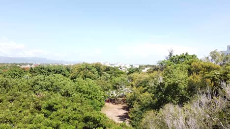drone-flight-over-the-forest-showing-in-the-background-the-city-of-santiago-de-los-caballeros,-tropical-weather-without-clouds