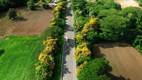 BEAUTIFUL-AERIAL-SHOOT-OF-ROAD-IN-BETWEEN-COLORFUL-TREES-AND-CROPLANDS