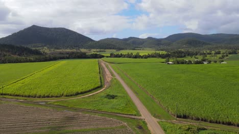 Campo-De-Caña-De-Azúcar---Exuberante-Plantación-De-Caña-De-Azúcar-Verde-Con-Vistas-A-La-Montaña-En-Preston-Cerca-De-Cedar-Creek-En-Queensland,-Australia