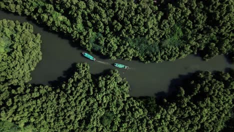 Aerial-tracking-shot-rising-over-boats-in-mangrove-forest