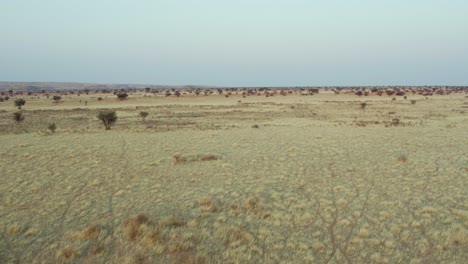 Zona-árida-Del-Desierto-De-Namibia,-áfrica.-Aéreo-Hacia-Adelante