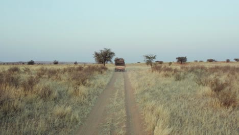 Safari-Offroading-Auf-Namibias-Wüstengrasland-Mit-Büschen-In-Südafrika