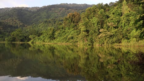 Ein-Malerischer-See-Mit-Schönem-Grünem-Waldhintergrund,-Der-über-Den-See-Nachdenkt