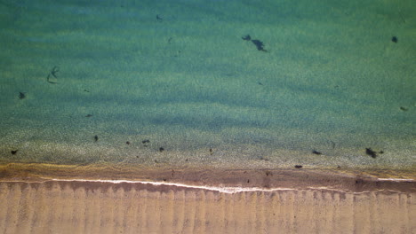 Top-down-aerial-view-of-crystal-blue-sea-water-above-golden-sand-beach-at-sunset