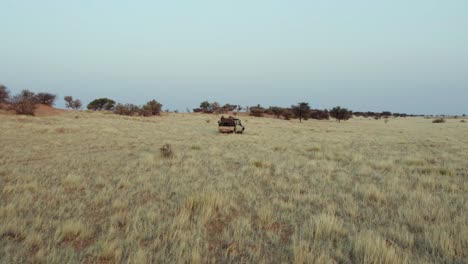 Jeep,-Der-Während-Der-Safari,-Afrika,-Durch-Namibia-Territorium-Fährt