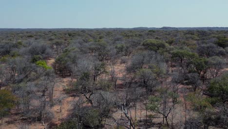 African-Landscape-on-Game-Reserve-on-Waterberg-Plateau-in-Namibia,-Aerial