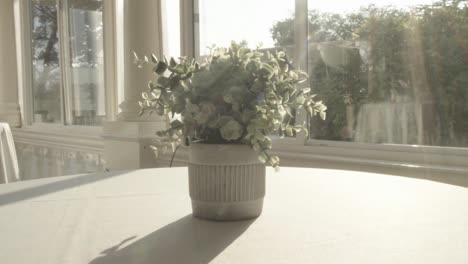 Nahaufnahme-Einer-Vase-Mit-Weißen-Blumen-über-Einem-Festtisch,-Im-Hintergrund-Eine-Pergola-Mit-Dekorationen