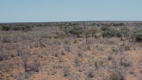 Panorama-Der-Trockenen-Wüste-Mit-Trockenen-Und-Grünen-Bäumen-Im-Nationalpark-Waterberg-Plateau,-Namibia-In-Südafrika