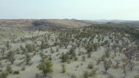 Landscape-In-Kaokoland-Region,-Namibia,-Africa---aerial-drone-shot