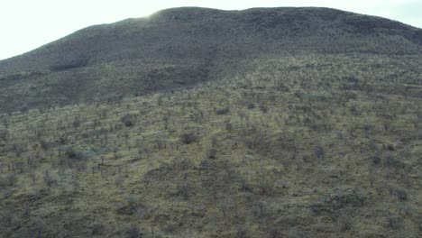 Kaokoland-grassland-savannah-in-Namibia,-4K-aerial-landscape
