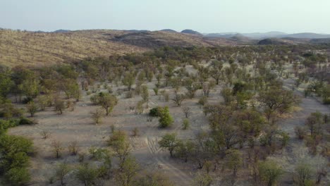 Landschaft-Des-Etosha-nationalparks-Im-Schönen-Namibia,-Afrika---Antenne