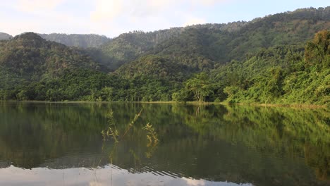 Reflejos-De-Bosques-Verdes-Sobre-Un-Lago-En-Tailandia