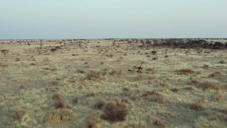 Vehicle-Driving-On-Savanna-Grasslands-Of-Namibia,-Africa---Aerial-Shot