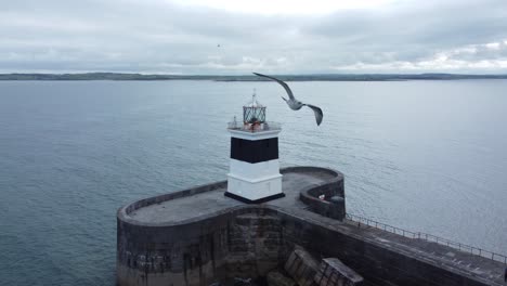 Holyhead-breakwater-lighthouse-longest-concrete-coastal-sea-protection-landmark-aerial-view-orbit-right-with-seagull