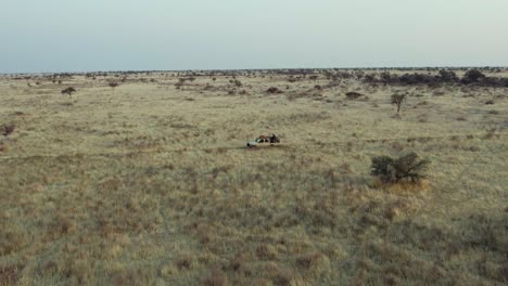 Namibische-Trostlose-Landschaft-Mit-Reisendem-Safarifahrzeug-In-Naturparks-Von-Südafrika