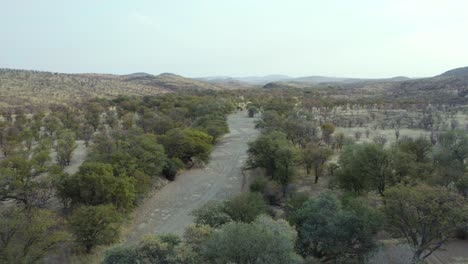 Deserted-road-in-Etosha-National-Park,-Namibia