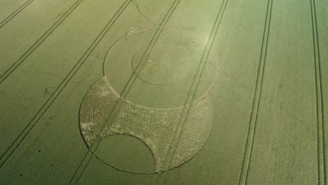 Wiltshire-Wootton-rivers-strange-crop-circle-pattern-in-countryside-farmland-field-aerial-drone-view-right-rotating-birdseye