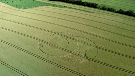 Wootton-rivers-Wiltshire-paranormal-crop-circle-pattern-in-green-farmland-field-aerial-drone-view-birdseye-left-orbit
