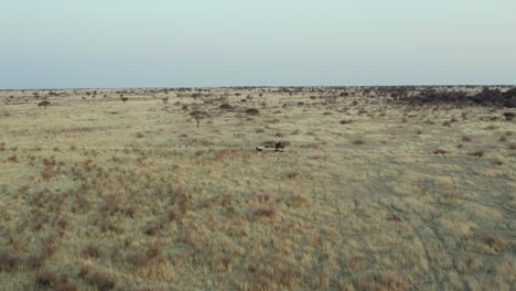 Jeep-Fahren-Durch-Namibia,-Afrika.-Antenne-Seitlich
