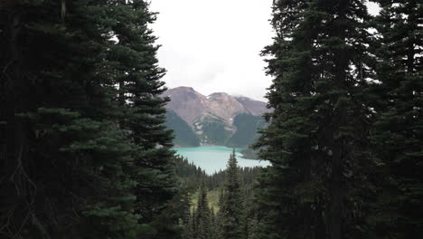 Frondosos-Pinos-Con-El-Lago-Garibaldi-Al-Fondo-En-Columbia-Británica,-Canadá