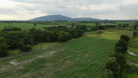 Aerial-footage-sliding-to-the-left-of-a-beautiful-farmland,-treeline,-and-mountains-in-the-horizon-with-rain-clouds,-Saraburi,-Thailand