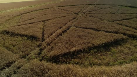 Strange-wheat-field-crop-circle-farmland-vandalism-aerial-close-rotate-right-view-Stanton-St-Bernard-Wiltshite