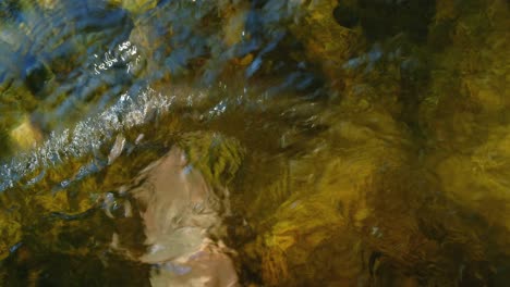 Man-feet-walking-underwater-in-river-stream-closeup-4K