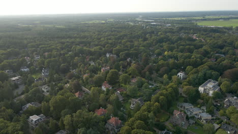Aerial-of-rich-neighborhood-with-villas-and-mansions-in-a-green-environment