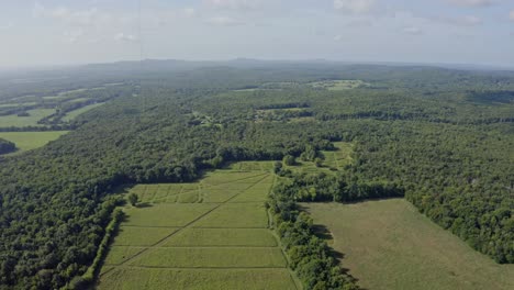 4k-aerial-over-freshly-cut-hay-field-with-pattern-in-grass-surrounded-by-forest