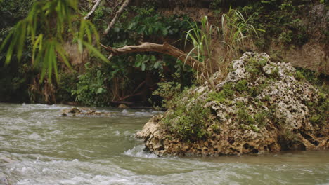 Arroyo-Que-Fluye-Rápido-En-El-Río-Rocoso-En-El-Bosque-En-Rio-Tanama,-Puerto-Rico