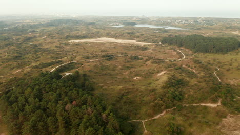 Aerial-View-Of-Lake-And-Vegetated-Surroundings-In-Zuid-Kennemerland-National-Park,-North-Holland,-Netherlands