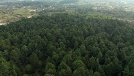 Lush-Green-Mixed-Deciduous-And-Coniferous-Forest-In-Zuid-Kennemerland-National-Park,-Netherlands---aerial-drone-shot