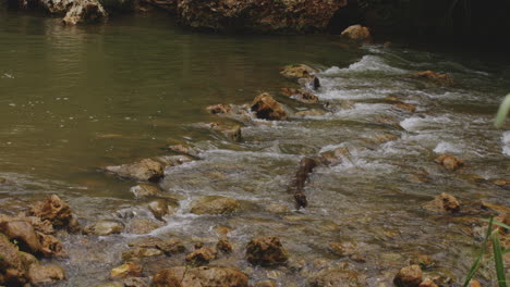 Flusswasser-Plätschert-Und-Fließt-Durch-Felsen-Bei-Rio-Tanama,-Puerto-Rico---Breiter,-Statischer-Schuss