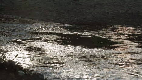 River-B-Roll:-Gespenstische-Morgensonne-Spiegelt-Silber-Auf-Flusswasser
