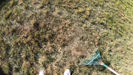 SLOW-MOTION---Male-raking-grass-in-a-recently-mowed-front-lawn