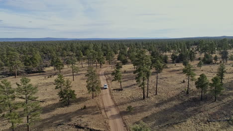 Aerial-passing-over-overlander-traveling-on-dirt-road-in-remote-forest,-4K