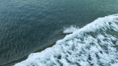 Pacific-White-sided-Dolphins-play,-surf-bow-wake-from-large-ocean-ship