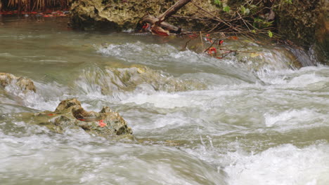 Fast-Flow-Of-River-Water-At-Rio-Tanama-In-Puerto-Rico---wide,-static-shot