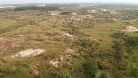Luftaufnahme-Von-Grünen-Feldern-Mit-üppiger-Vegetation-Im-Zuid-Kennemerland-Nationalpark,-Niederlande---Drohnenaufnahme