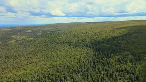 Luftaufnahme-Von-Grünen-Bergen-Mit-Nadelbäumen-Im-Sommer-In-Der-Nähe-Von-Salen,-Schweden