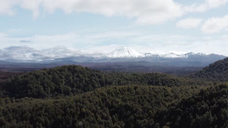 Flying-above-native-forest-with-snow-covered-Mount-Ngauruhoe-in-distance,-Mt-Doom