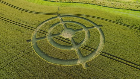 Bizarre-wheat-field-target-crop-circle-design-in-green-farmland-aerial-view-orbiting-right-Hackpen-hill