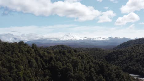Rising-from-native-forest-in-New-Zealand-to-reveal-famous-Mount-Ngauruhoe,-Mt-Doom